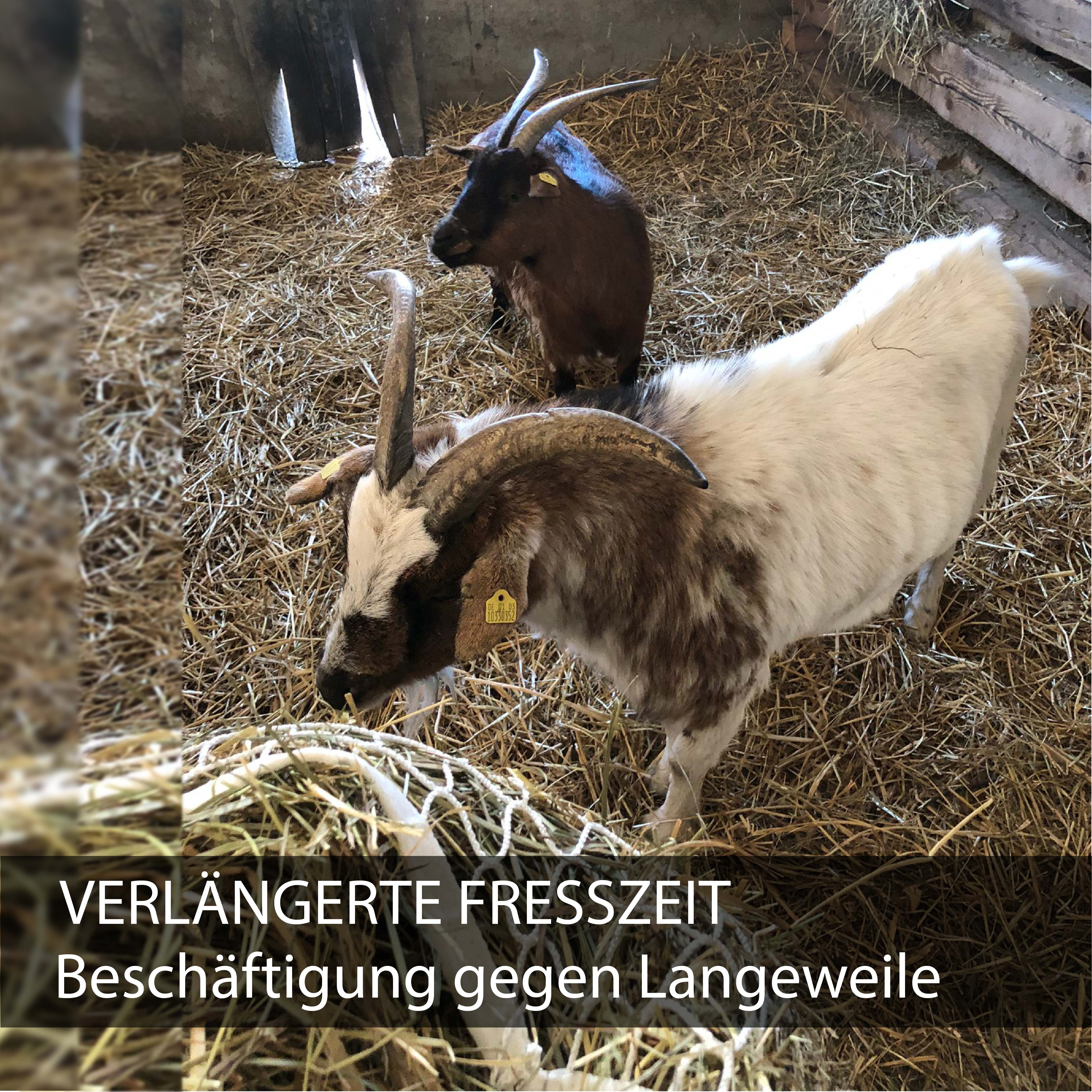 Heunetz eckig in weiß, 3x3cm , 70cmx80cm, 4,5kg Füllgewicht